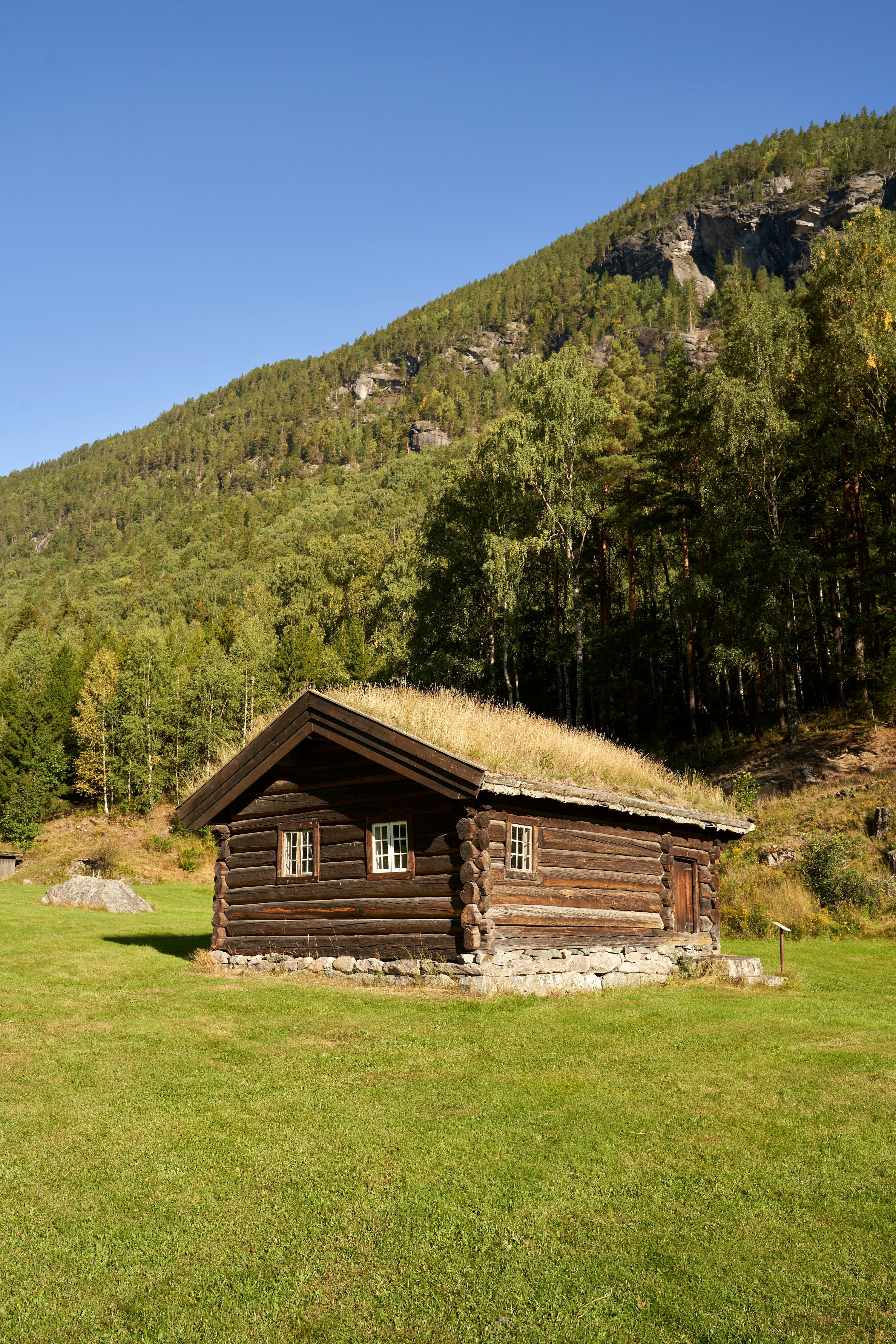 Fjellro