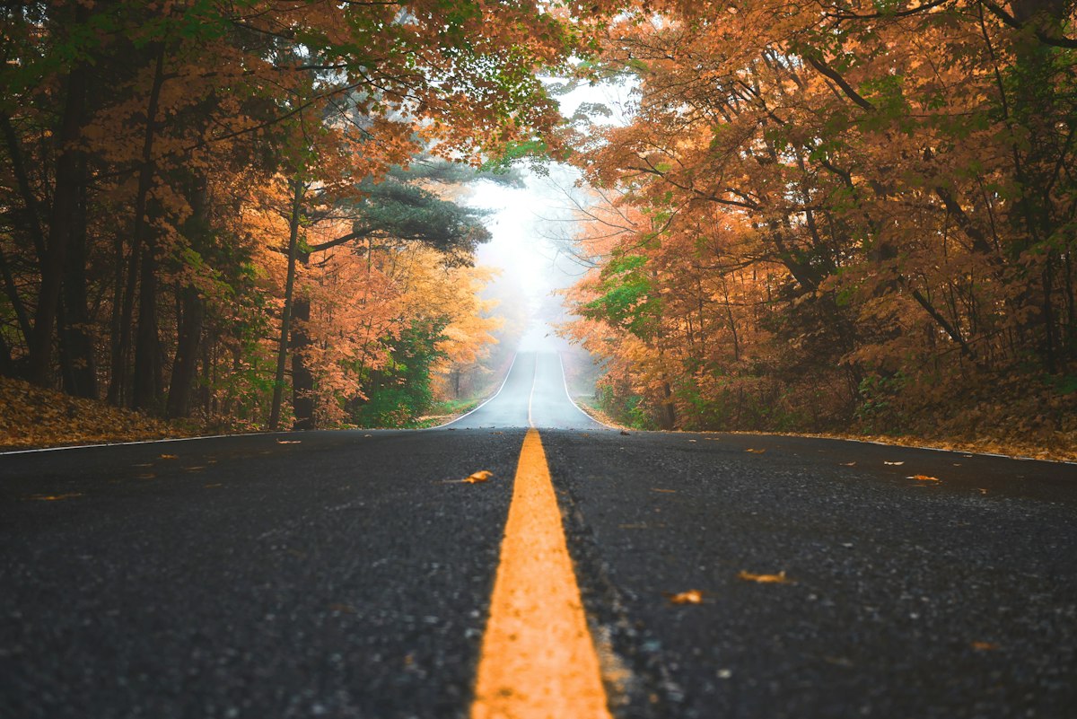 Autumn forest and mountain fall colors
