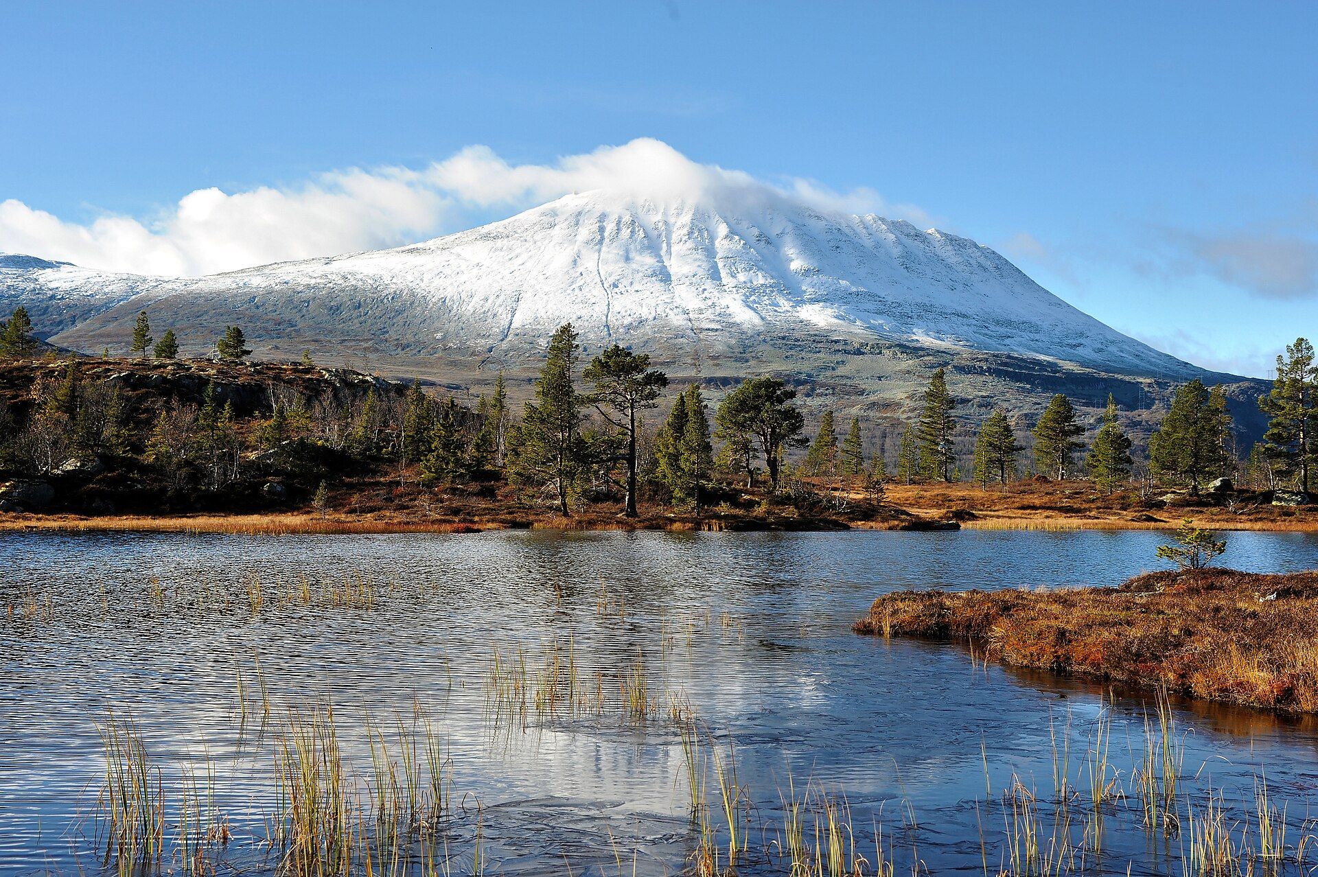 Snow-covered Gaustatoppen above a still lake with golden grass and pine in October